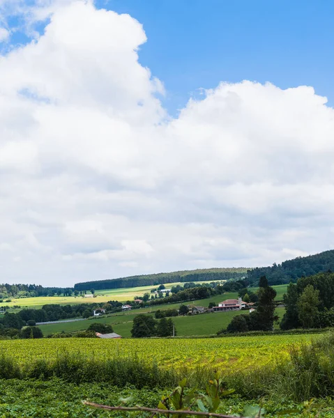 Bir sürü yeşil bitki ve derin mavi gökyüzü olan Galiçya manzarası
