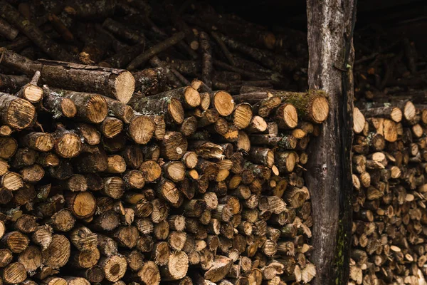 Mountain Cut Logs Stacked Together — Stock Photo, Image