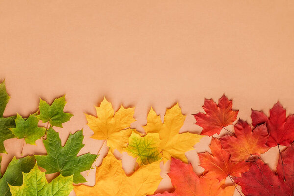 beige background with autumn maple leaves in green, orange and yellow with space for text.