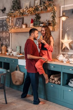 Genç bir çift Noel 'i sıcak bir kır evi konseptiyle kutluyor. Kış tatili ve aile tatilleri. Şenlikli atmosfer.