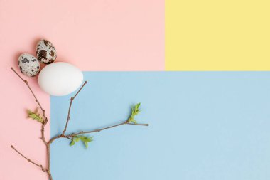 Dekoratif kompozisyon - bıldırcın ve tavuk yumurtası ve narin, mavi ve sarı arka planda bir bahar dalı. Paskalya kutlaması konsepti, düzgün beslenmenin diyeti. Üst Manzara, düz.