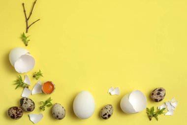Dekoratif kompozisyon - bıldırcın yumurtası ve narin sarı arka planda bir bahar dalı. Paskalya kutlaması, tebrik kartı, beslenme konsepti. Üst Manzara, düz. 