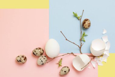 Dekoratif kompozisyon - bıldırcın ve tavuk yumurtası ve narin, mavi ve sarı arka planda bir bahar dalı. Paskalya kutlaması konsepti, düzgün beslenmenin diyeti. Üst Manzara, düz.