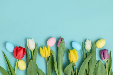 Bahar laleleri ve pastel renkli Paskalya yumurtaları narin mavi bir arka planda. Paskalya kutlaması, tebrik kartı, tatil davetiyesi..