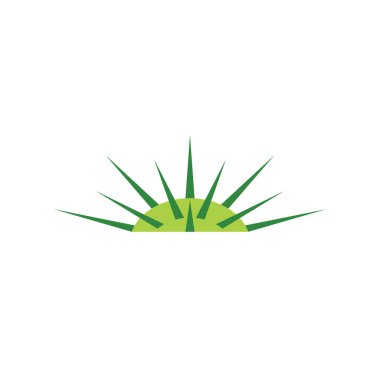 Jimson otu datura logo vektörü 