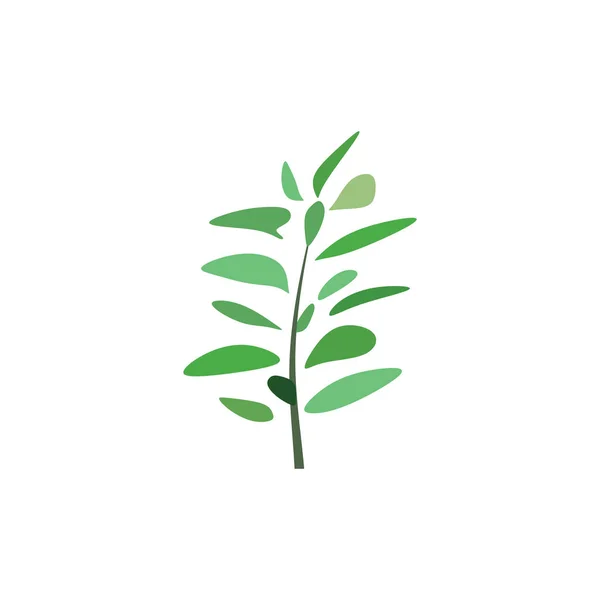 Nane Bitkisi Logo Resimleme Simgesi — Stok Vektör
