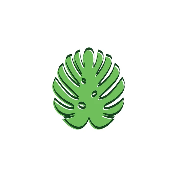 Monstera Bitki Vektör Simgesi Logosu — Stok Vektör