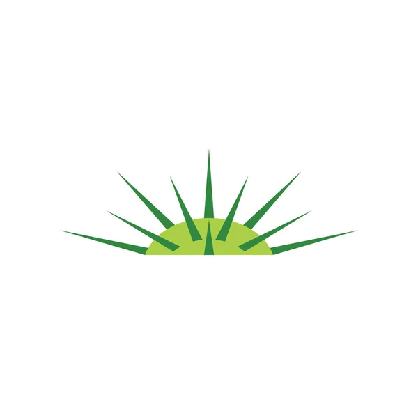 Jimson Otu Datura Logo Vektörü Telifsiz Stok Illüstrasyonlar