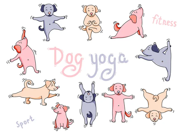 Animais Estimação Yoga Conjunto Colorido Grande Ioga Cão Bonitos Cachorros —  Vetores de Stock