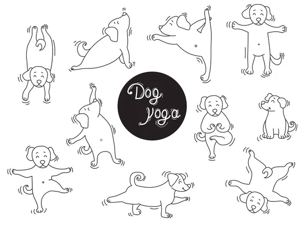 Animais de estimação Yoga. Yoga de cão um jogo de quadros. Os cachorros encantadores estão em um asana. Esboço. Vetor —  Vetores de Stock