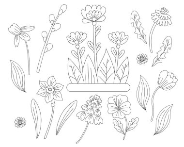 Spring flowers set - chamomile, daffodil, tulip, dandelion, violet and pussy willow. Vector drawing. Black line, outline. Ornamental first plants for printing, decor, design, decoration and postcards