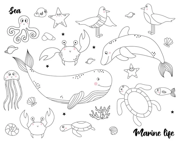 Συλλογή θαλάσσιας ζωής. Σύνολο ζώων και πτηνών - φάλαινα και δελφίνι, γλάροι και ψάρια, καβούρια και μέδουσες, χελώνα και χταπόδι. Βέκτορ. Σκίτσο, γραμμή. Απομονωμένα σε λευκό — Διανυσματικό Αρχείο