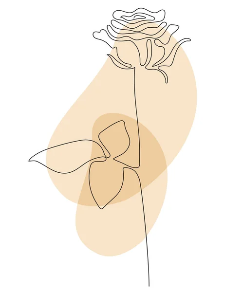 Rose Line art - Bela flor. Ilustração vetorial. Desenho de linha contínua. Abstrato design mínimo de flores para capa, estampas, Decoração para casa imagem, decoração, design, cartazes —  Vetores de Stock