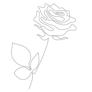 Gül Hattı sanatı, güzel çiçek. Vektör çizimi. Devamlı çizgi çizimi. Kapak, baskılar, ev dekorasyonu, dekor, tasarım, posterler için soyut minimal çiçek tasarımı