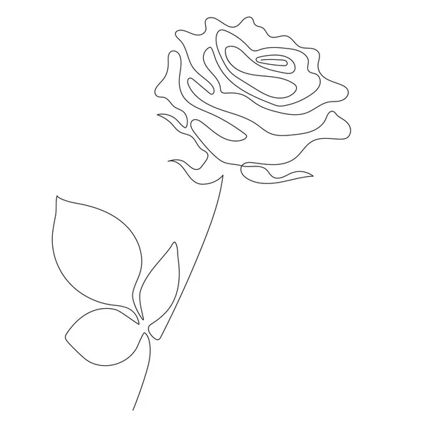 Rose Line art - Bela flor. Ilustração vetorial. Desenho de linha contínua. Abstrato design mínimo de flores para capa, estampas, Decoração para casa imagem, decoração, design, cartazes —  Vetores de Stock