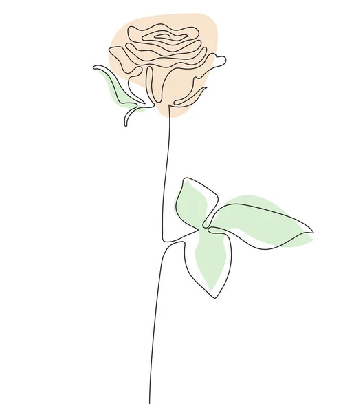 Rose Line Konst Vacker Blomma Vektorillustration Kontinuerlig Linje Ritning Och — Stock vektor