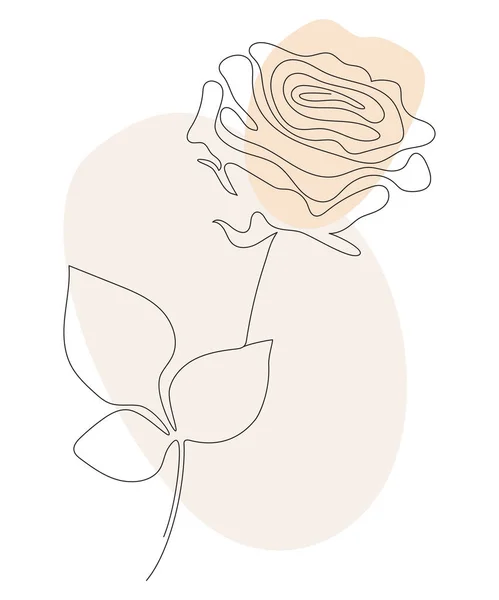 Rose Line Art Illustration Vectorielle Dessin Ligne Continue Taches Colorées — Image vectorielle