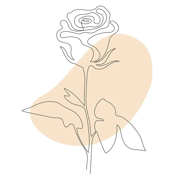 Rose Line konst - Vacker blomma. Vektorillustration. Kontinuerlig ritning. Abstrakt minimal blomsterdesign för omslag, tryck, Inredningsbild, — Stock vektor