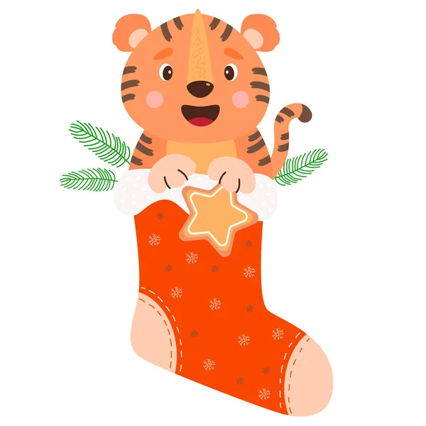 圣诞红袜子 笑着可爱的小虎宝宝与姜饼和圣诞树枝 冬季病媒说明 — 图库矢量图片