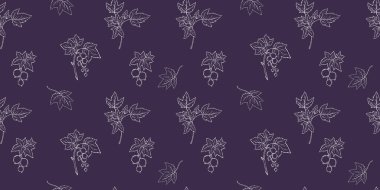 Kusursuz Frenk üzümü deseni. Beyaz Çizgili Mor Arkaplanda Sanat Böğürtlenleri. Vektör Yatay Çizimi Yapay Zeka Değil