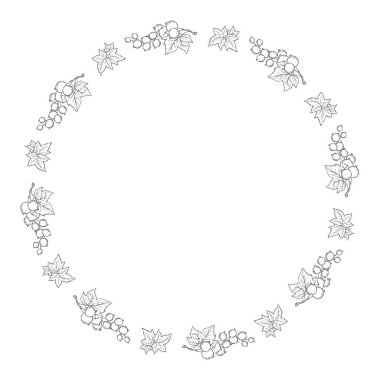 Currant Berry Yuvarlak Sınır Çizgisi. Minimalist Çiçek Çemberi Yapraklı Frenk üzümü. Boş alanlı el çizimi. Vektör çizimi. Yapay zeka değil