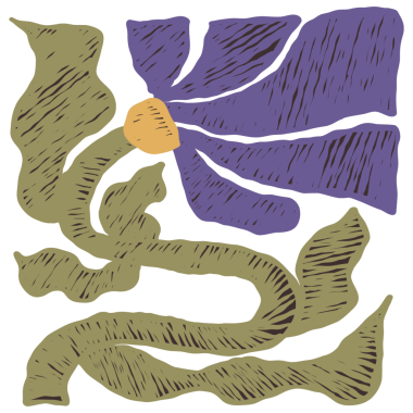 Minimalist Boya Kalemi Çiçeği. Matisse Botanik El Çizimi