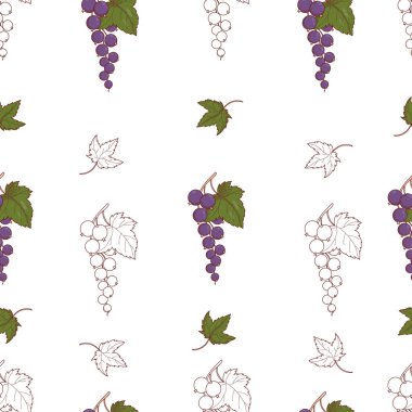 Frenk üzümü pürüzsüz desen. Karışık Renkli Botanik Beyaz Arkaplan ve Çizgili Sanat Currant Dalları, Yapraklı Meyveler. Tekrarlanabilir meyve şablonu. Vektör Meydanı illüstrasyonu