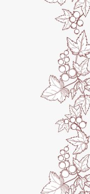 Botanik Currant Kusursuz Sınır. Açık Arkaplanda Yaprakları olan Branch Berries taslağı. Boş Kopya Uzayı ile klasik dikey meyve şablonu. Tek renkli süs pankartı. Vektör illüstrasyonu