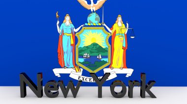 Bize New York, bayrağı önünde metal adı Eyaleti