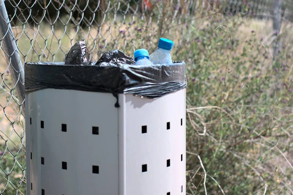 Plastic Water bottles in rubbish bin, waste management for recycling ecology