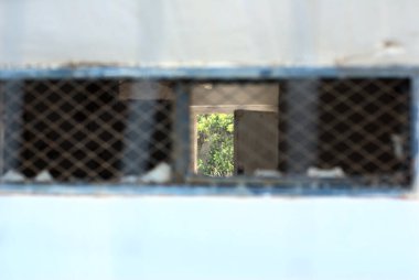 Ibi, İspanya - Temmuz 2021. Eski kamu binası enkazının arkasındaki bitki örtüsü.