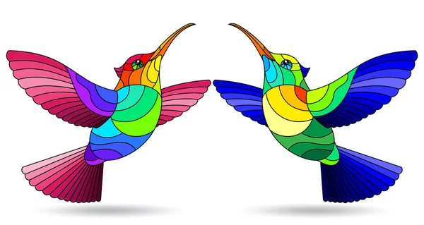 Ensemble Illustrations Dans Style Vitrail Avec Des Oiseaux Colibris Lumineux — Image vectorielle