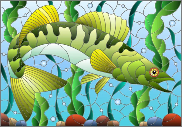 Ilustracja Stylu Witrażowym Rybą Okonia Szczupaka Tle Alg Pęcherzyków Powietrza — Wektor stockowy