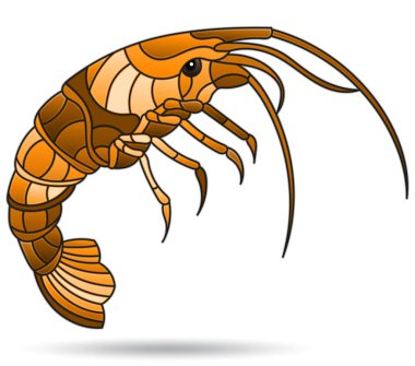 Soyut karidesli bir vitray çizimi, beyaz arka planda izole edilmiş bir hayvan, monokrom, ton kahverengi. 