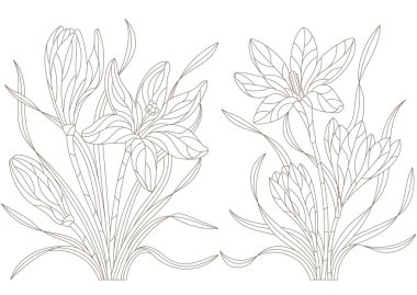 Sümbül çiçekleri ve beyaz arka planda koyu renk çizgileri olan boyalı cam şekilli çizimler.