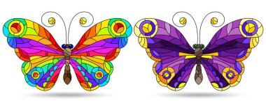 Parlak kelebekli, boyalı cam tarzında çizimler, beyaz arka planda izole edilmiş böcekler.