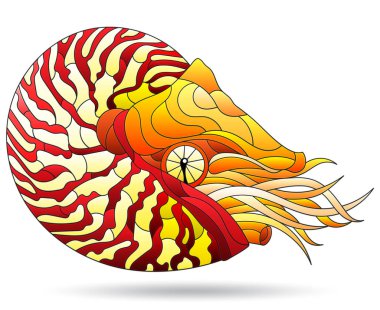 Beyaz bir arka planda izole edilmiş, parlak bir nautilus istiridyesi olan, vitray tarzı bir resim.