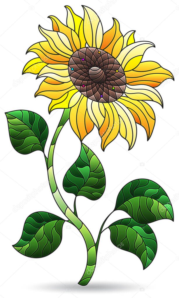 Illustration in stained glass style with abstract sunflower flower, flower isolated on white background