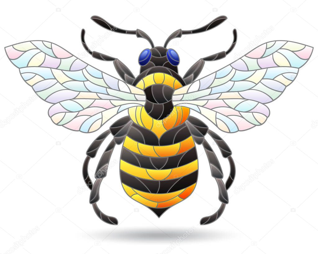 Stained glass-style illustration with an abstract  bee, an animal isolated on a white background