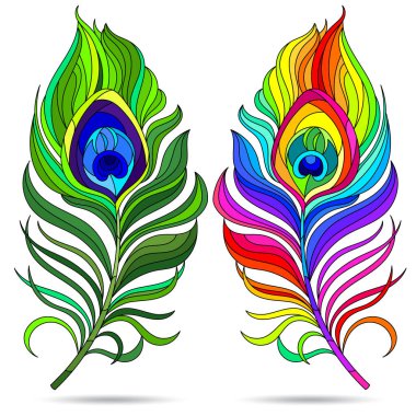 Set of illustrations in the style of stained glass with peacock feathers, objects isolated on a white background
