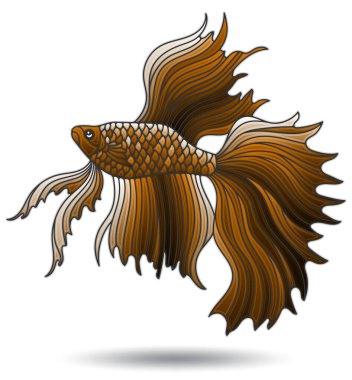 Illustration with stained glass elements, brown Cockerel fish isolated on white background