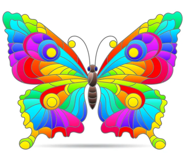 Ilustración Estilo Una Vidriera Con Una Mariposa Brillante Animal Aislado — Archivo Imágenes Vectoriales
