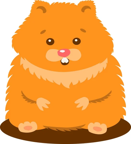 İzole şirin bebek Hamster