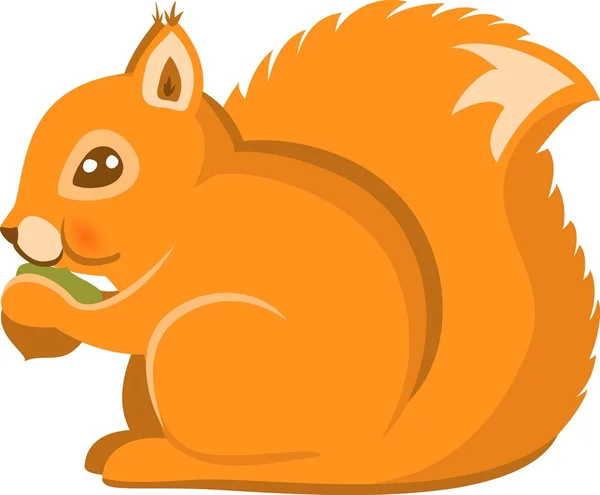 Cartoon Squirel Vector Isolated — Stock Vector