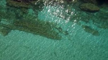 Calm Water Waves Glisten Under Bright Sunlight at Tropical Beach