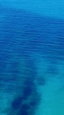 Sailing on Clear Blue Waters to Explore Hidden Treasures Beneath the Surface