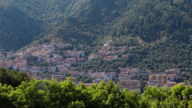 Evler, zeytin ağaçlarıyla kaplı dik bir yamaçta inşa edilir. Öğlen oldu ve vadideki küçük köyde güneş parlıyor..