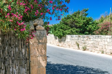 Cadde ve oleandr Malta'da çitin çevresinde