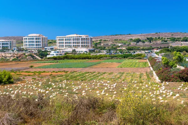 Alanları Golden Bay Beach Malta civarındaki oteller