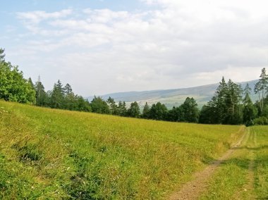 Yol boyunca dinlenmek için ormana çayır